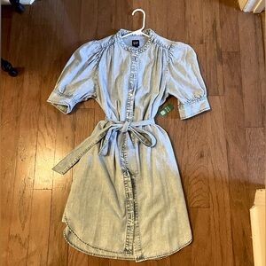 GAP light blue wash denim dress puff sleeves